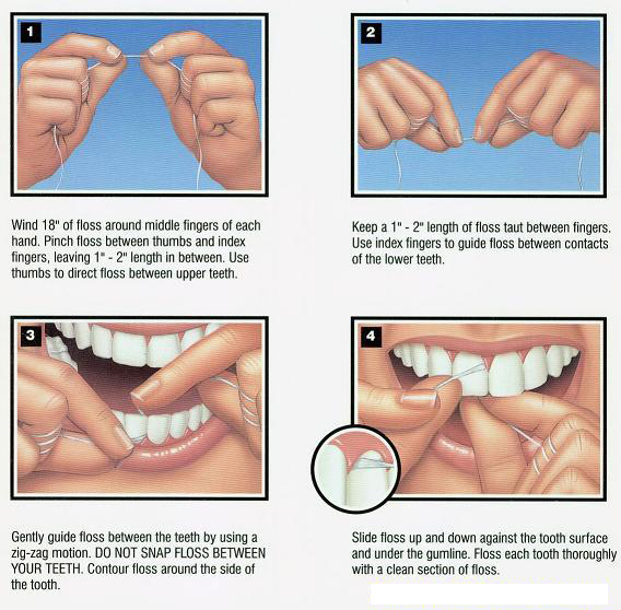 How to Floss images by Dentist Chester Springs PA